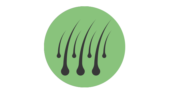 hairloss_3